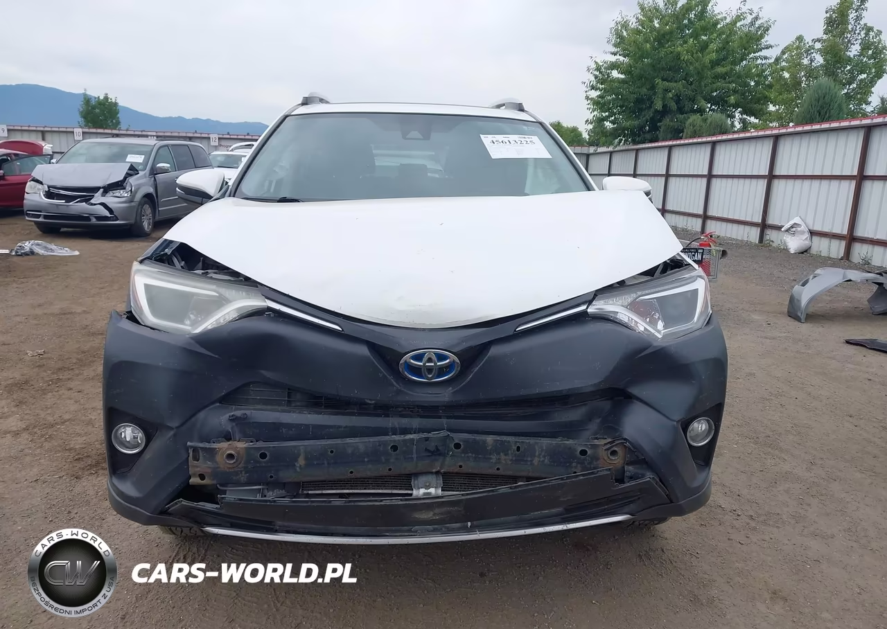 2016 Toyota Rav4 Hybrid Xle VIN:JTMRJREV4GD015441 - 12