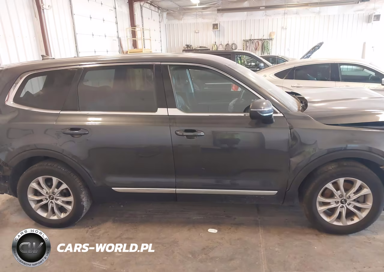 2020 Kia Telluride Lx VIN:5XYP24HC1LG032937 - 13