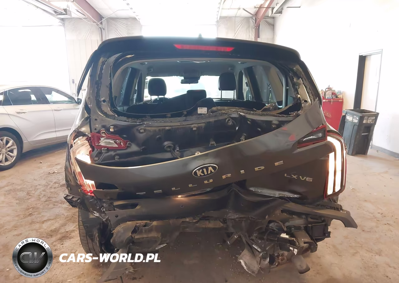 2020 Kia Telluride Lx VIN:5XYP24HC1LG032937 - 16