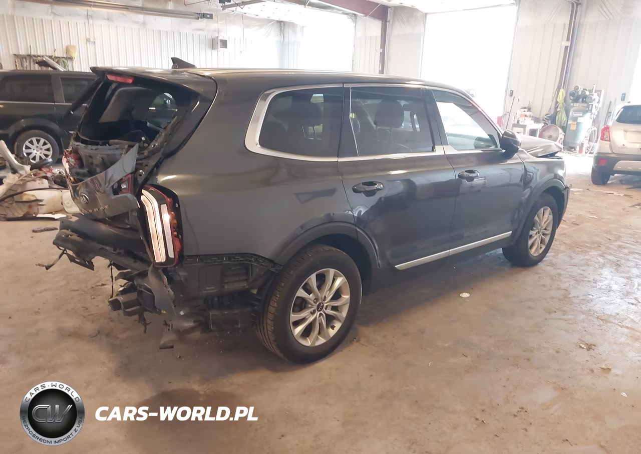 2020 Kia Telluride Lx VIN:5XYP24HC1LG032937 - 4