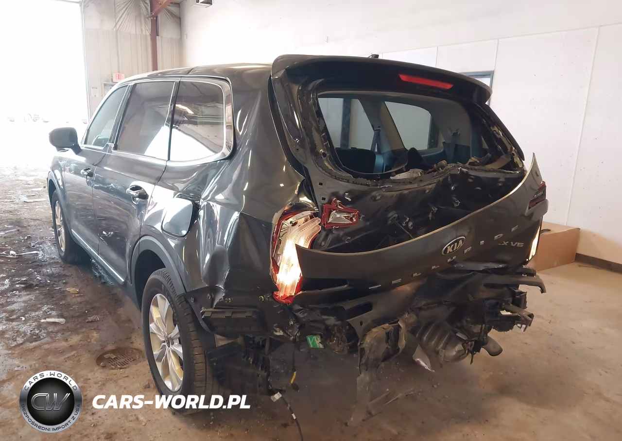 2020 Kia Telluride Lx VIN:5XYP24HC1LG032937 - 6