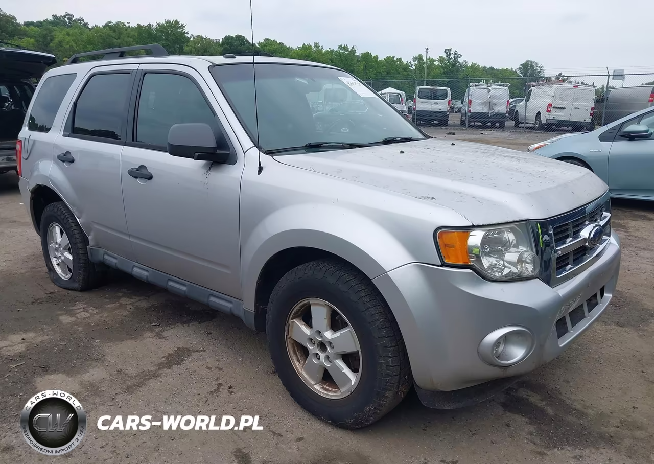 2010 Ford Escape Xlt