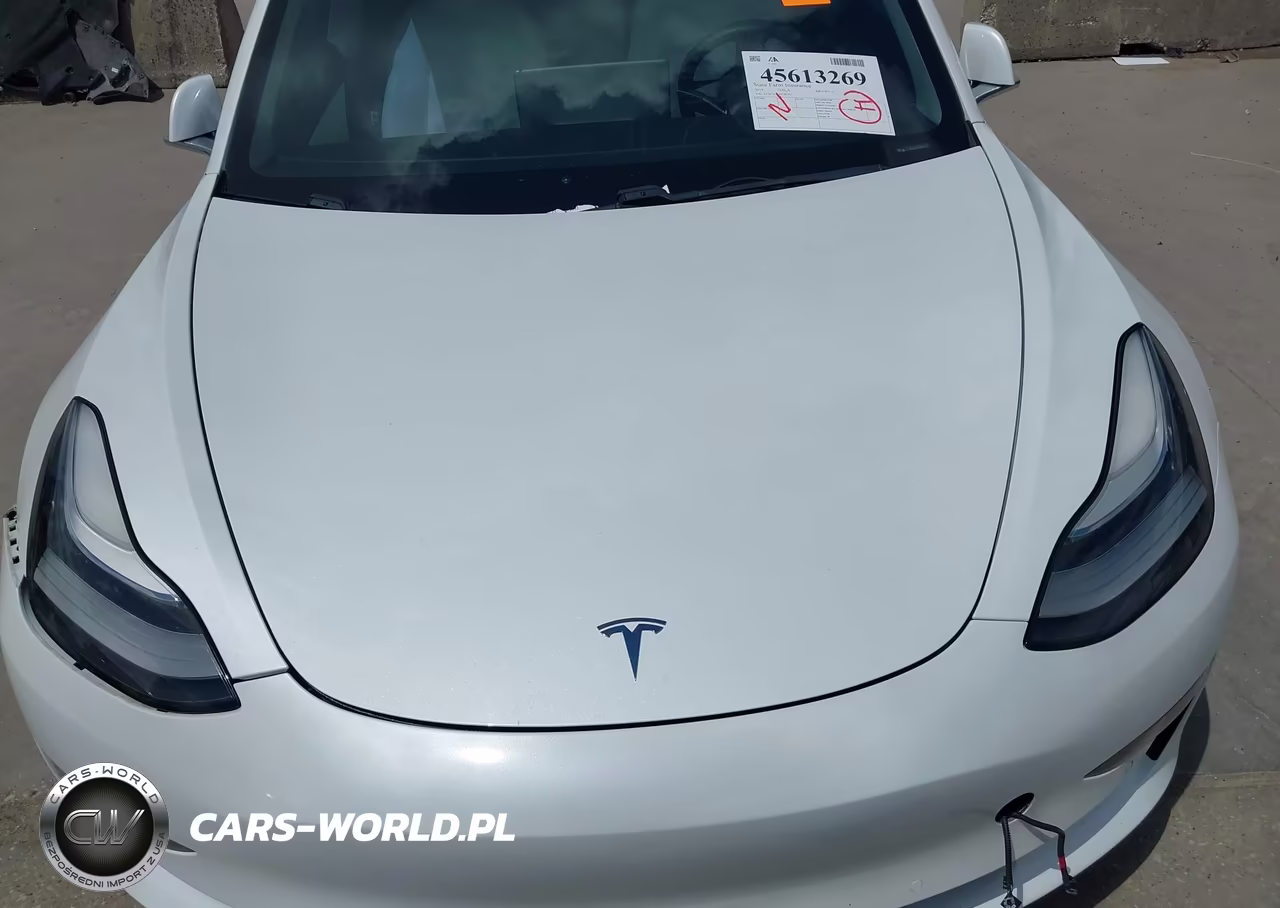2019 Tesla Model 3 Long Range-Performance VIN:5YJ3E1EB6KF487515 - 10