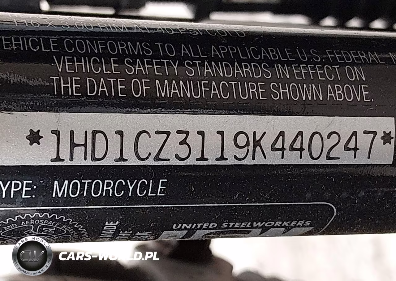 2009 Harley-Davidson Xl1200 N VIN:1HD1CZ3119K440247 - 10