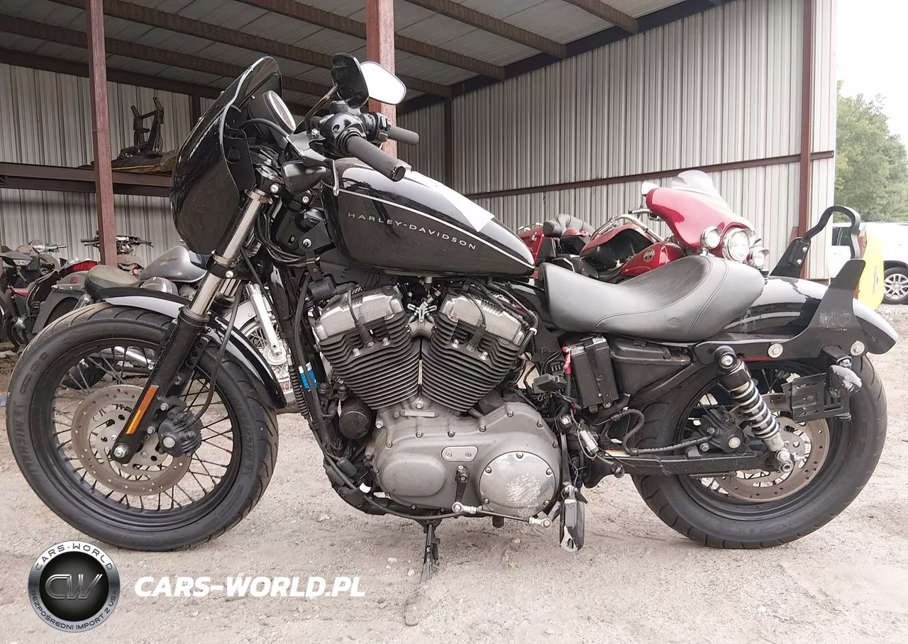 2009 Harley-Davidson Xl1200 N VIN:1HD1CZ3119K440247 - 13