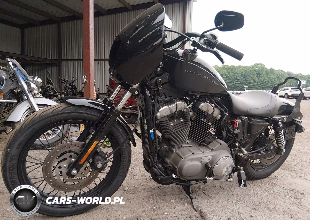 2009 Harley-Davidson Xl1200 N VIN:1HD1CZ3119K440247 - 2