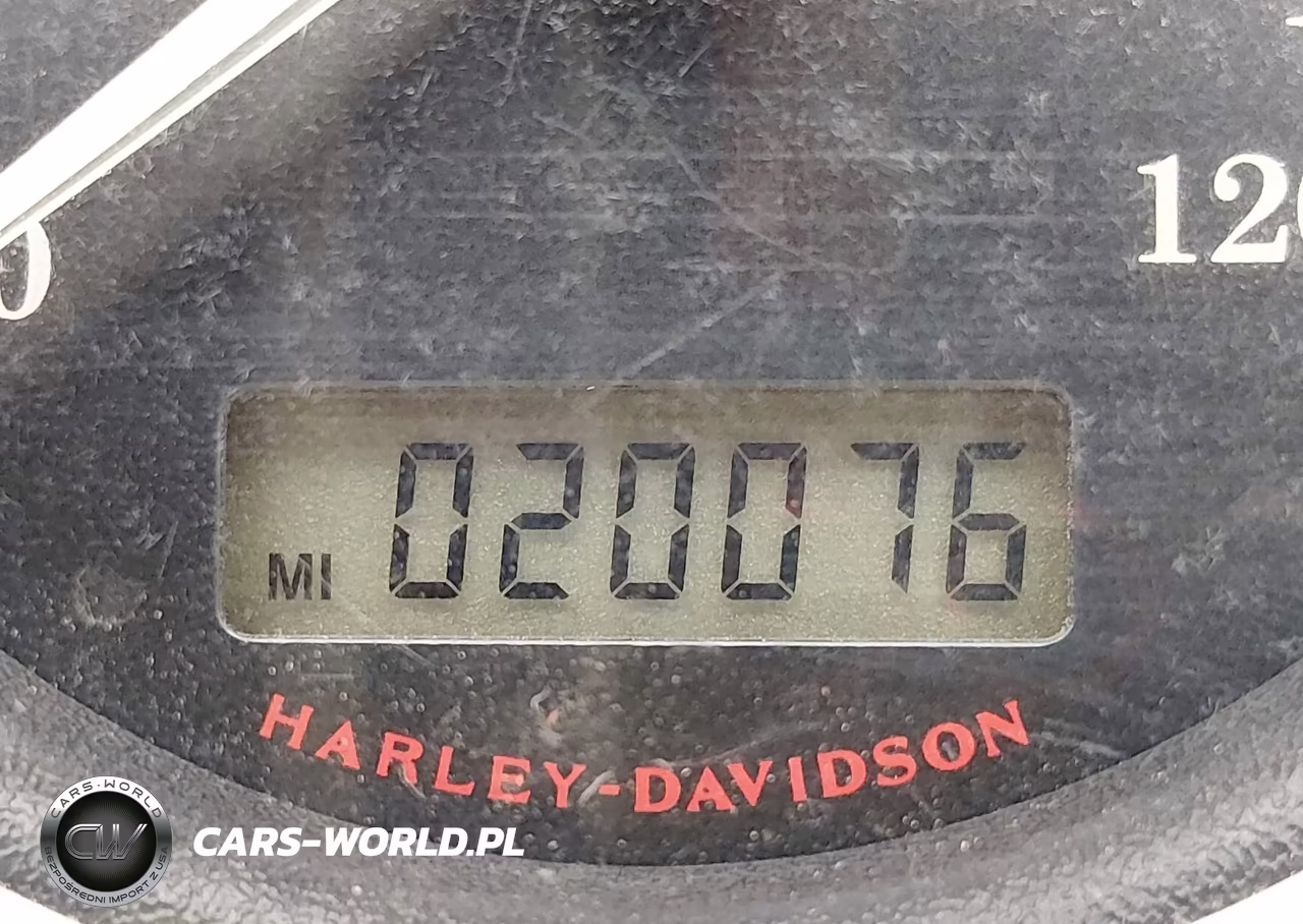2009 Harley-Davidson Xl1200 N VIN:1HD1CZ3119K440247 - 7