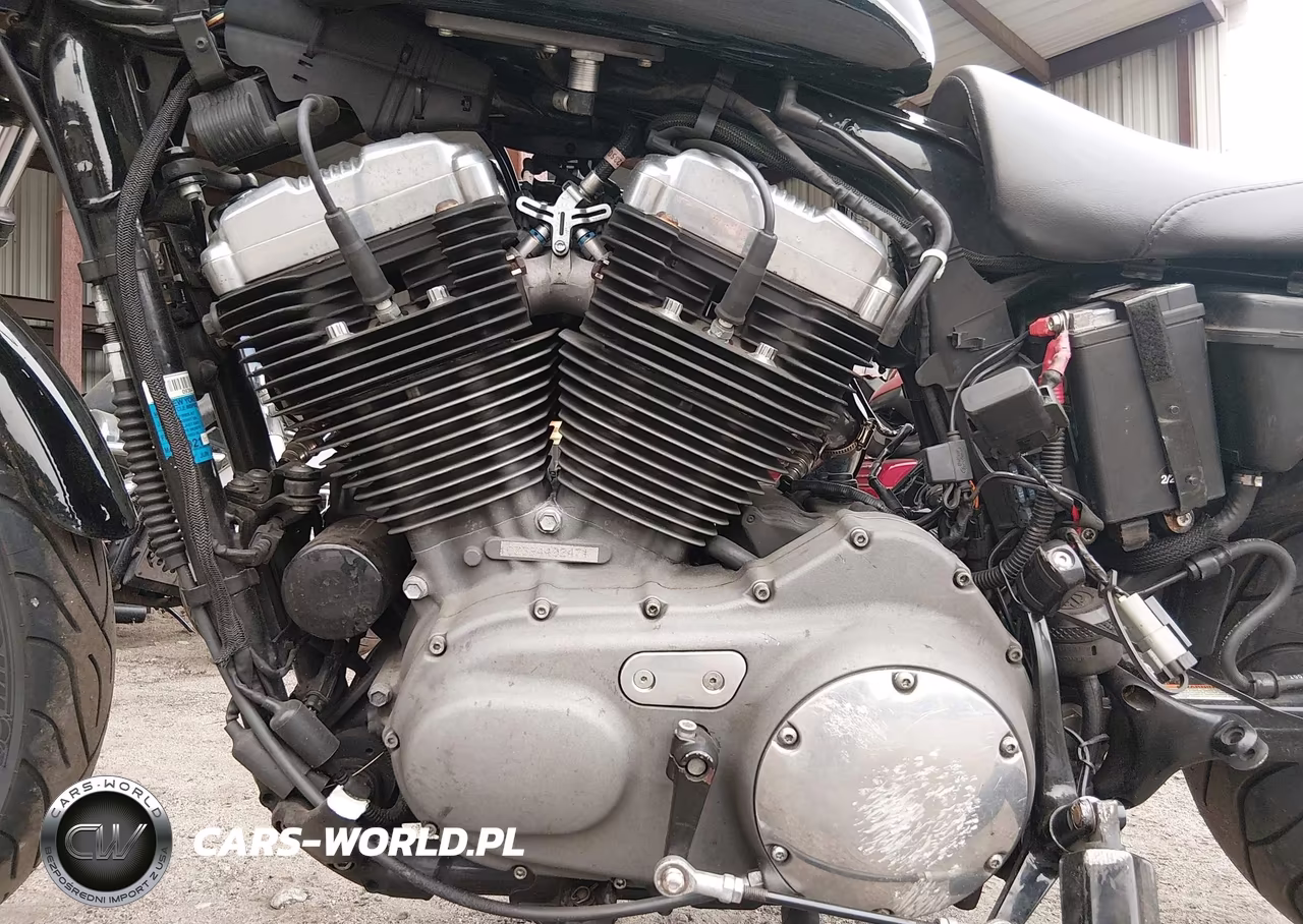 2009 Harley-Davidson Xl1200 N VIN:1HD1CZ3119K440247 - 9