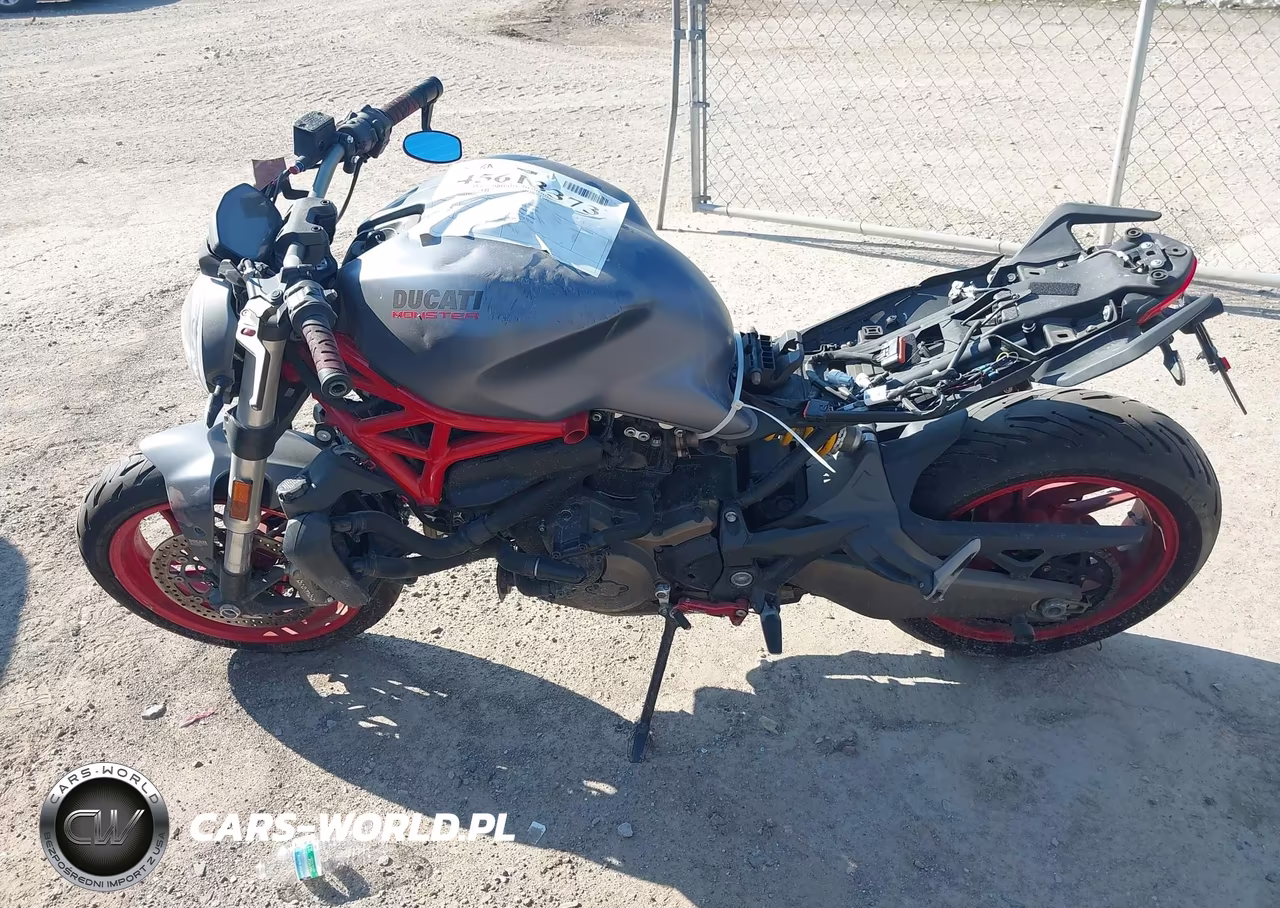 2017 Ducati Monster 821 VIN:ZDM1RBTSXHB023406 - 12