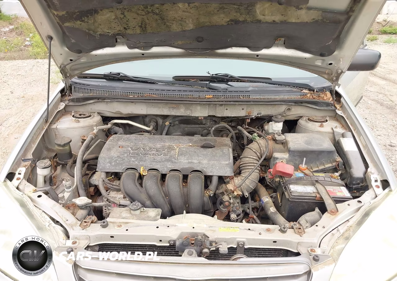 2003 Toyota Corolla Ce VIN:JTDBR32E330033734 - 10