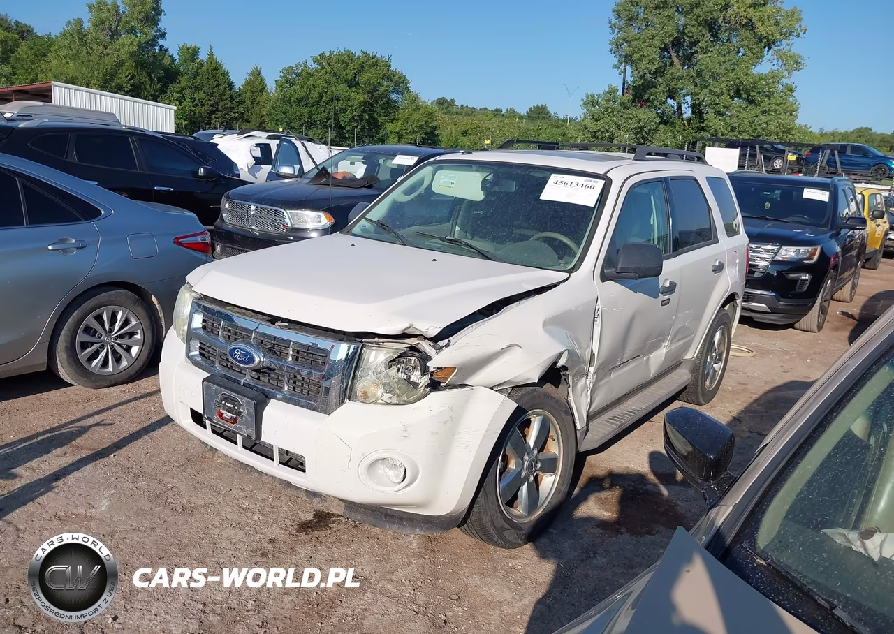 2010 Ford Escape Xlt VIN:1FMCU0D79AKA69098 - 2