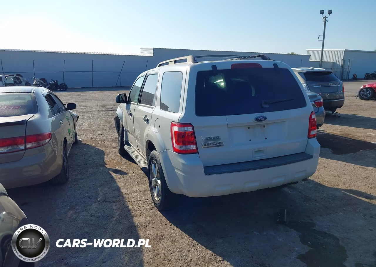 2010 Ford Escape Xlt VIN:1FMCU0D79AKA69098 - 3