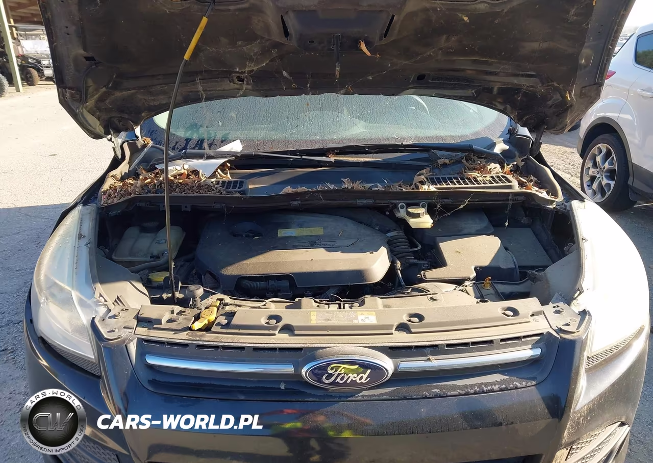 2013 Ford Escape Se VIN:1FMCU9GX0DUC45657 - 10