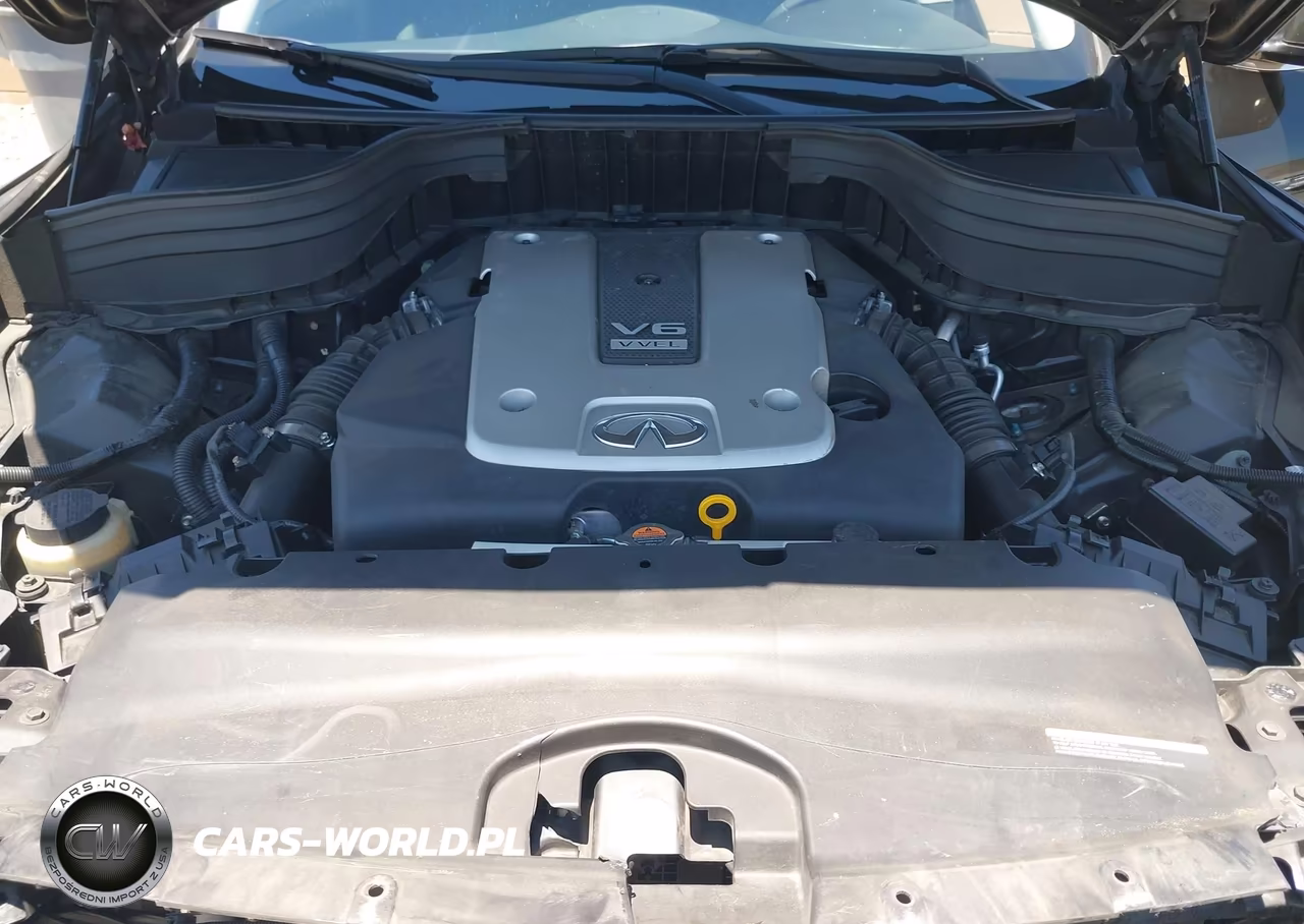 2016 Infiniti Qx50 VIN:JN1BJ0RP3GM232040 - 10