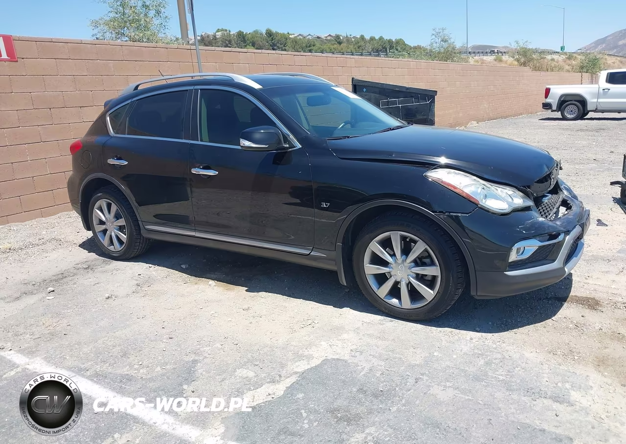 2016 Infiniti Qx50 VIN:JN1BJ0RP3GM232040 - 13