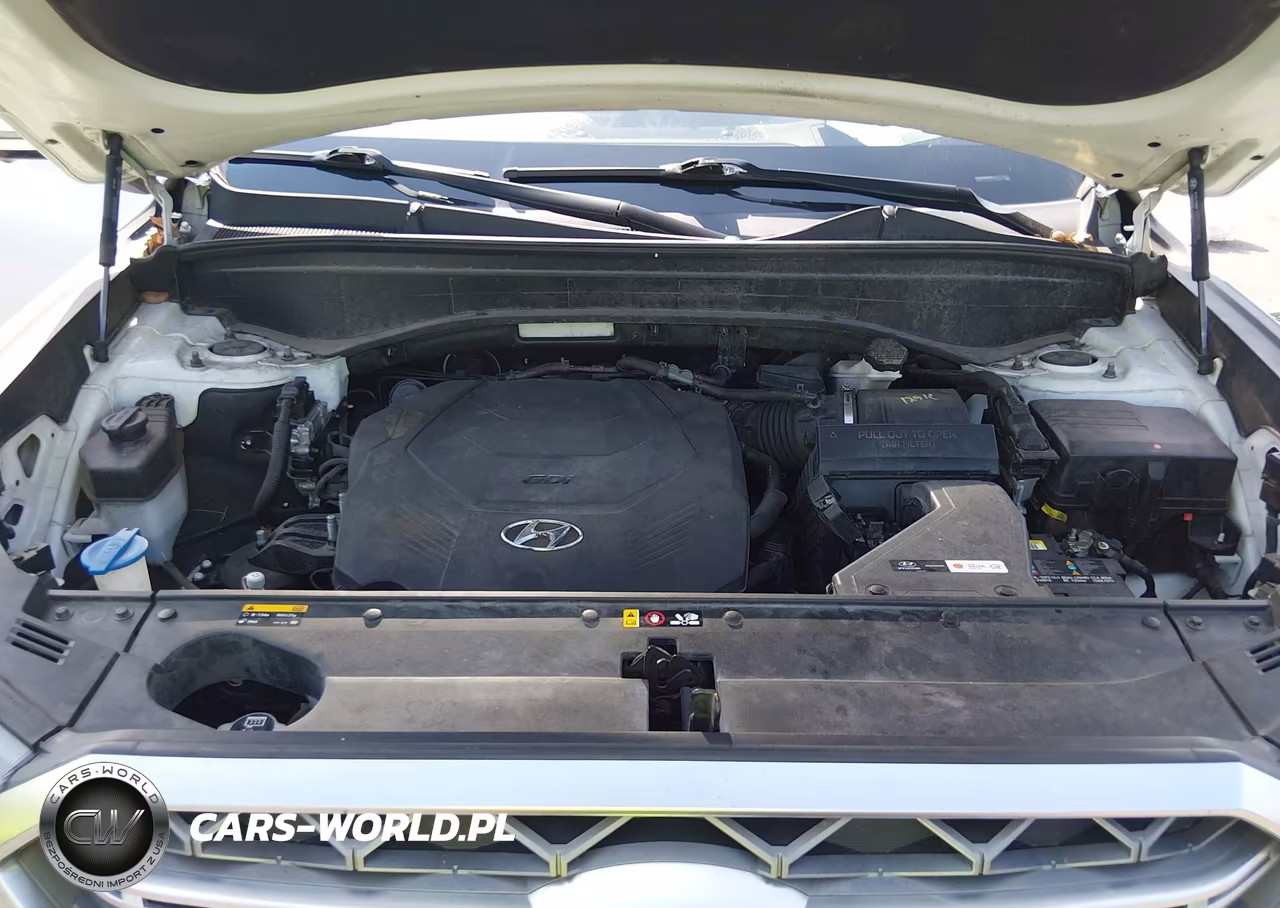 2020 Hyundai Palisade Limited VIN:KM8R5DHE1LU103324 - 10