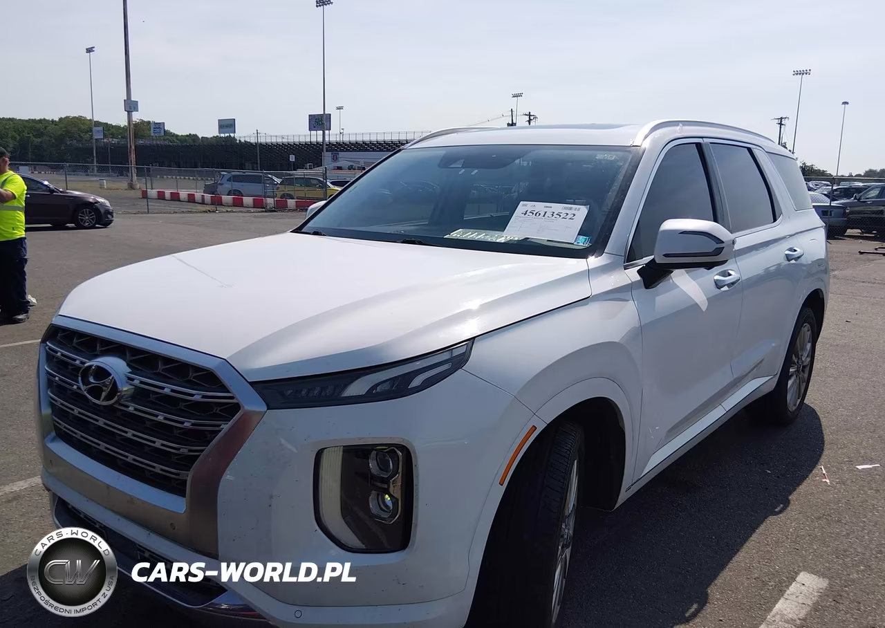 2020 Hyundai Palisade Limited VIN:KM8R5DHE1LU103324 - 2