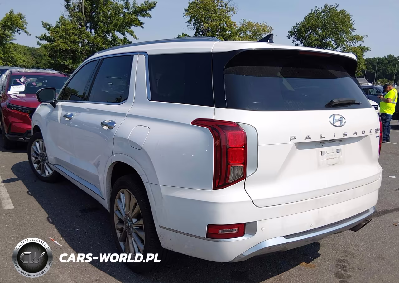 2020 Hyundai Palisade Limited VIN:KM8R5DHE1LU103324 - 3