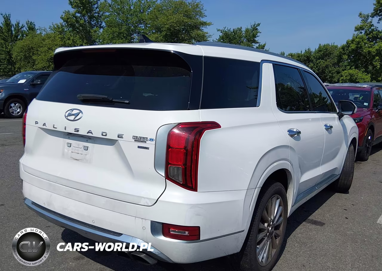 2020 Hyundai Palisade Limited VIN:KM8R5DHE1LU103324 - 4