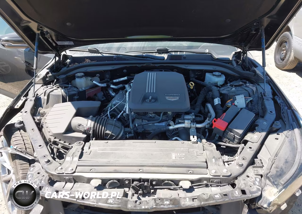 2020 Cadillac Ct5 Sport VIN:1G6DU5RK7L0120201 - 10