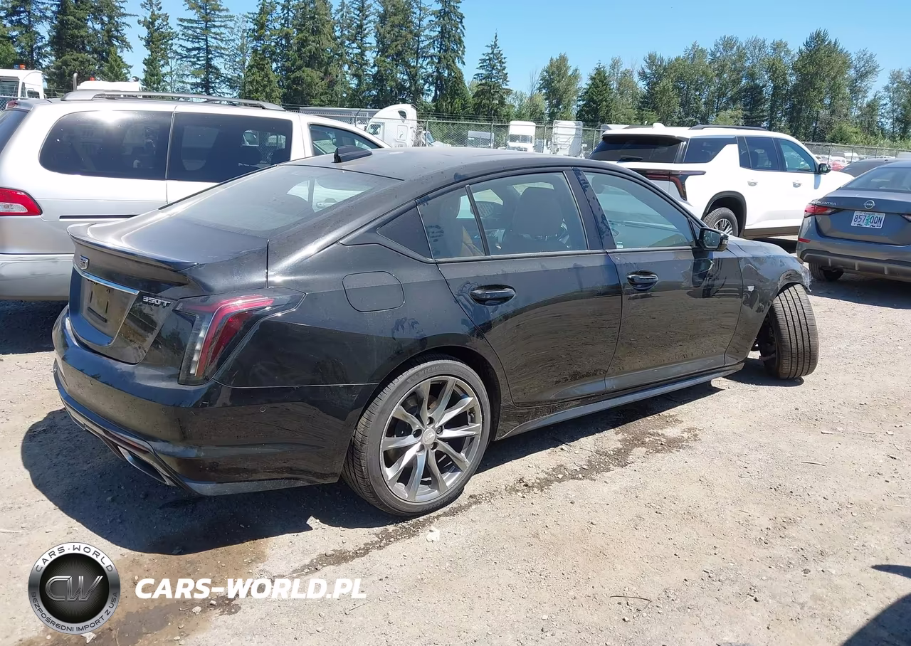 2020 Cadillac Ct5 Sport VIN:1G6DU5RK7L0120201 - 4