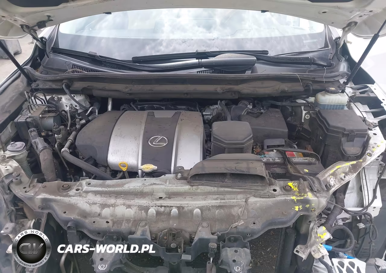 2017 Lexus Rx 350 VIN:JTJBZMCA7H2021323 - 10