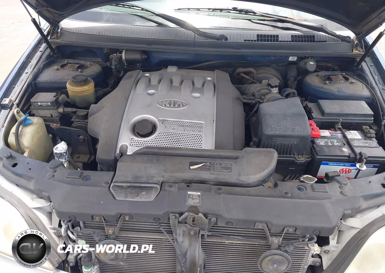 2003 Kia Sedona Ex-Lx VIN:KNDUP131436344780 - 10
