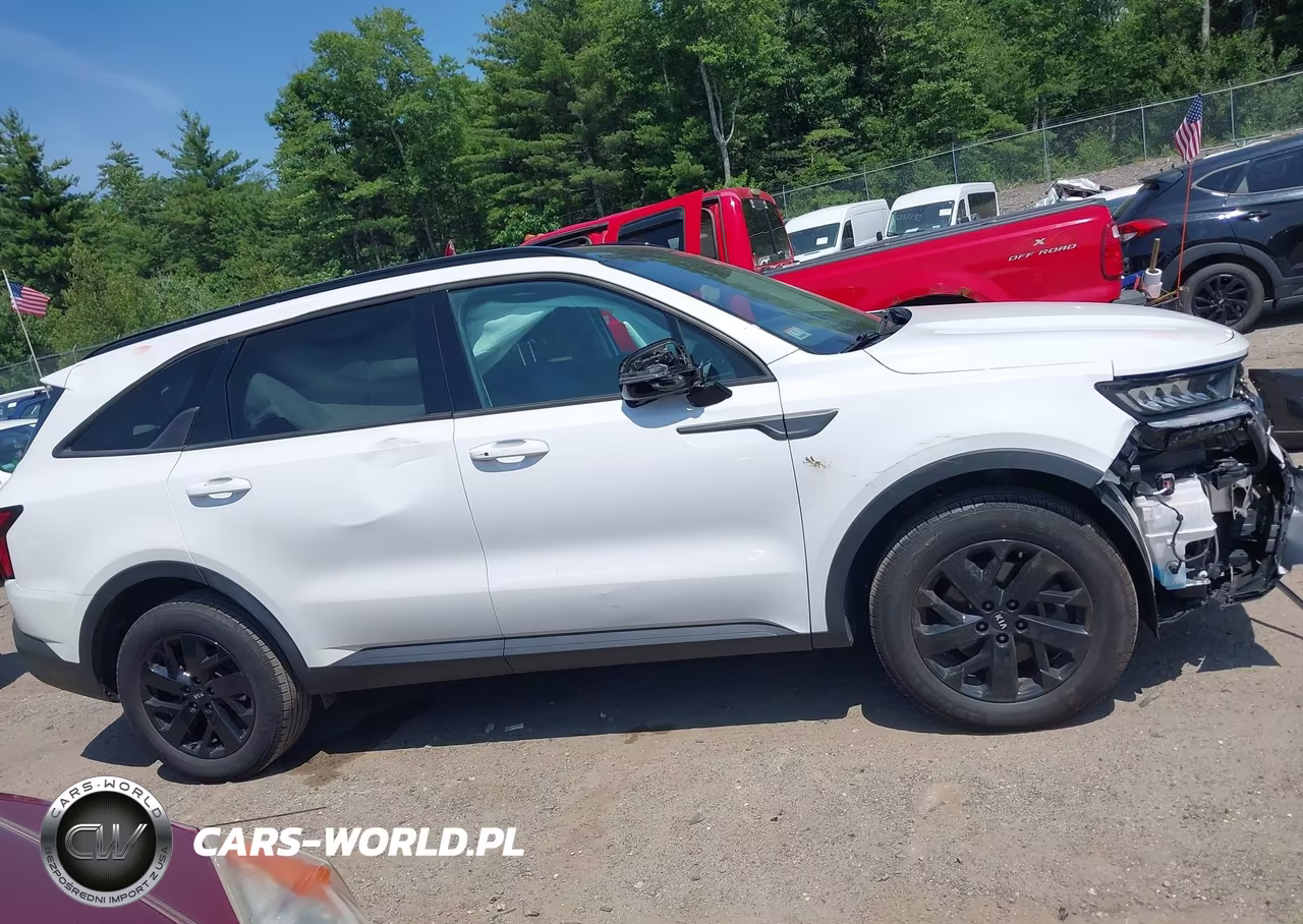 2021 Kia Sorento S VIN:5XYRLDLC3MG065677 - 13