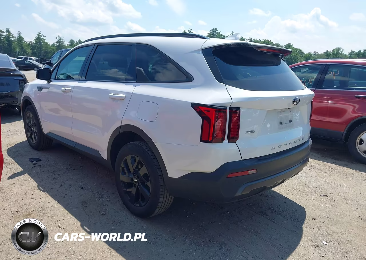 2021 Kia Sorento S VIN:5XYRLDLC3MG065677 - 3