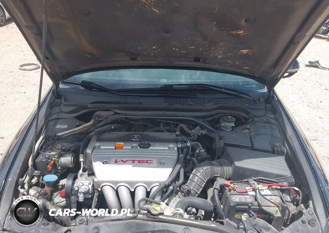 2004 Acura Tsx VIN:JH4CL96844C040865 - 10