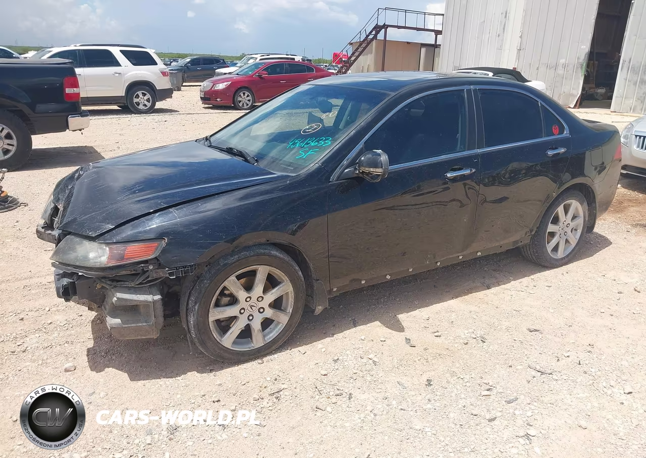 2004 Acura Tsx VIN:JH4CL96844C040865 - 2