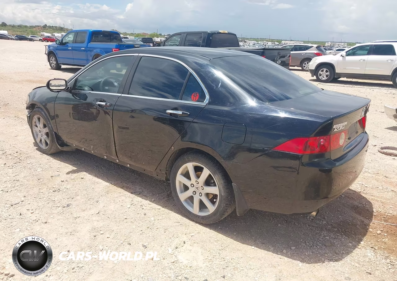 2004 Acura Tsx VIN:JH4CL96844C040865 - 3