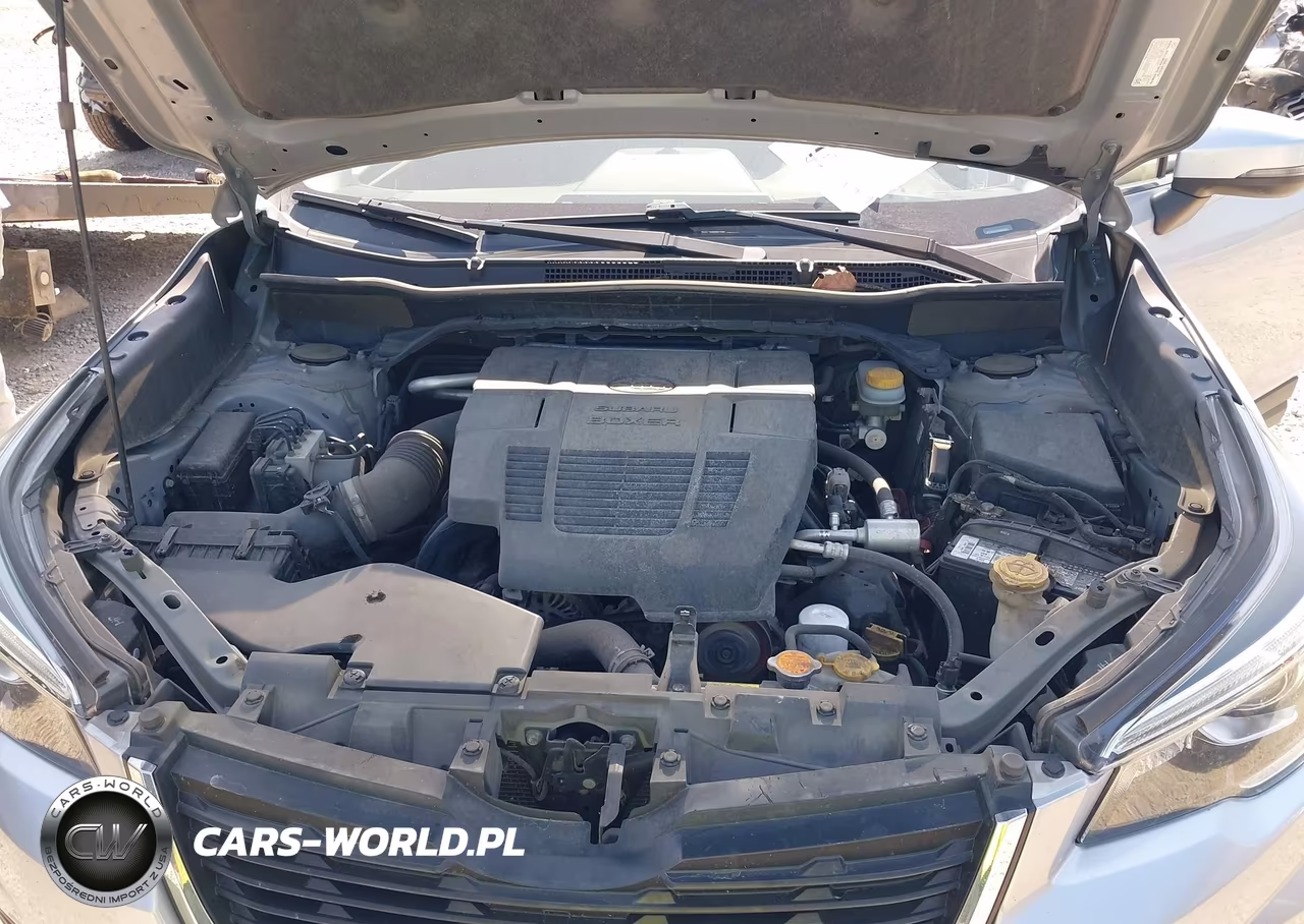 2019 Subaru Forester Limited VIN:JF2SKAUC7KH444852 - 10