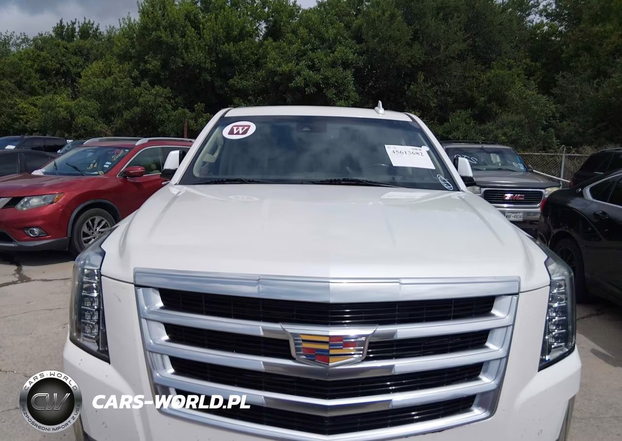 2016 Cadillac Escalade Luxury Collection VIN:1GYS3BKJ4GR208013 - 12