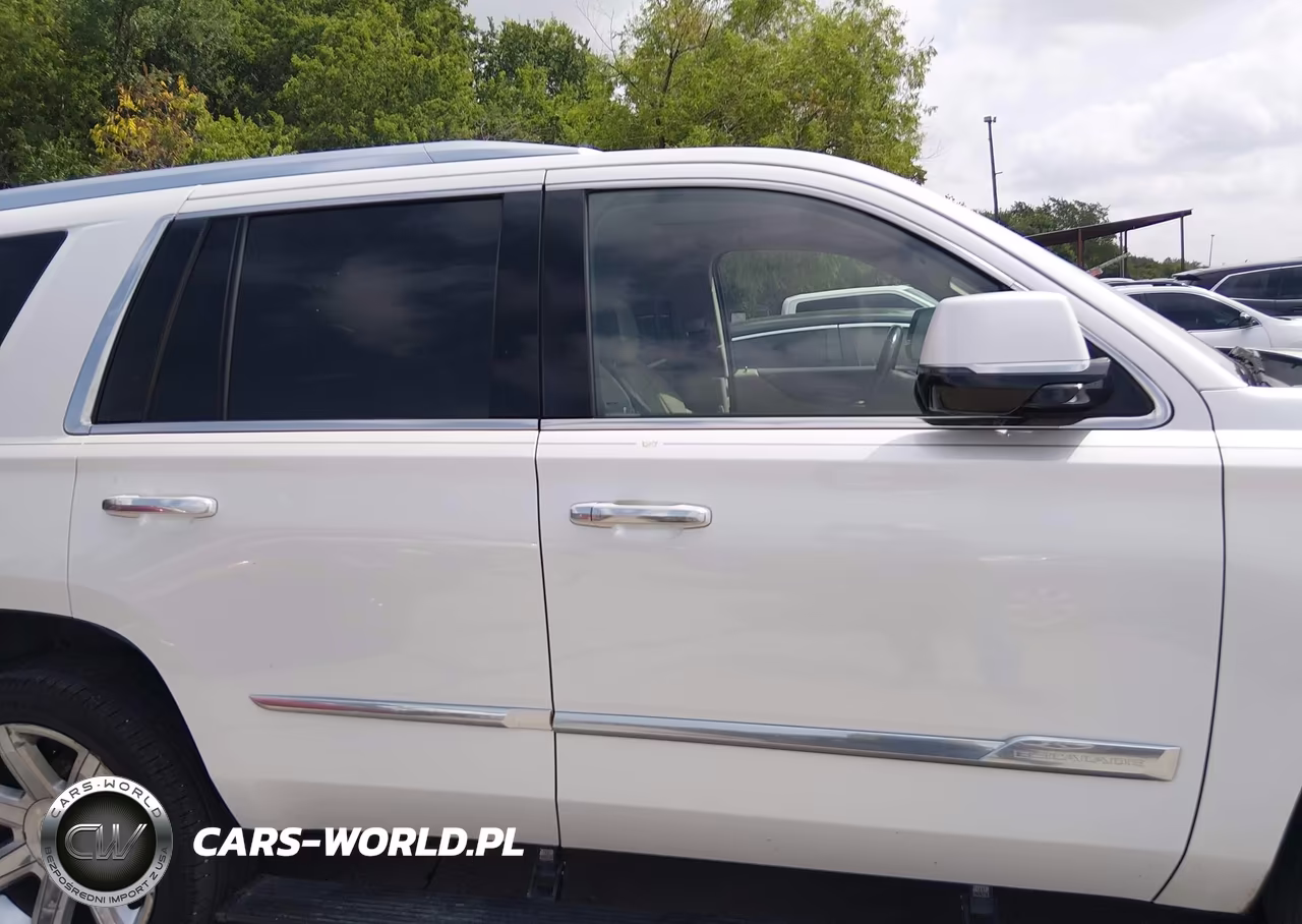 2016 Cadillac Escalade Luxury Collection VIN:1GYS3BKJ4GR208013 - 13