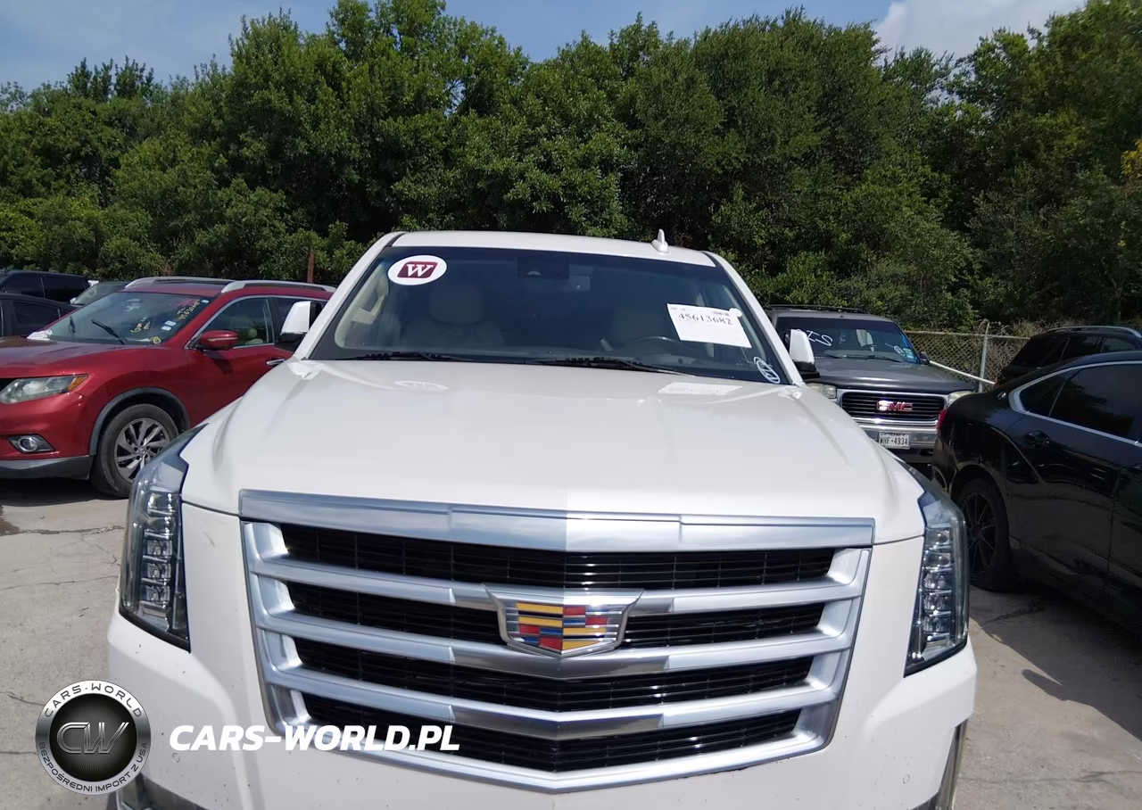 2016 Cadillac Escalade Luxury Collection VIN:1GYS3BKJ4GR208013 - 6