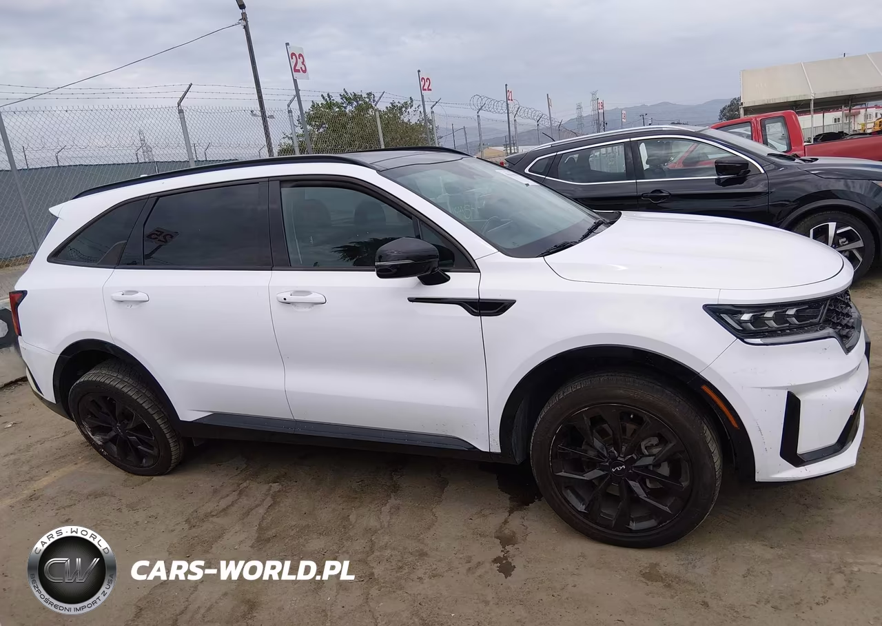2022 Kia Sorento Sx VIN:5XYRKDLF9NG135231 - 13