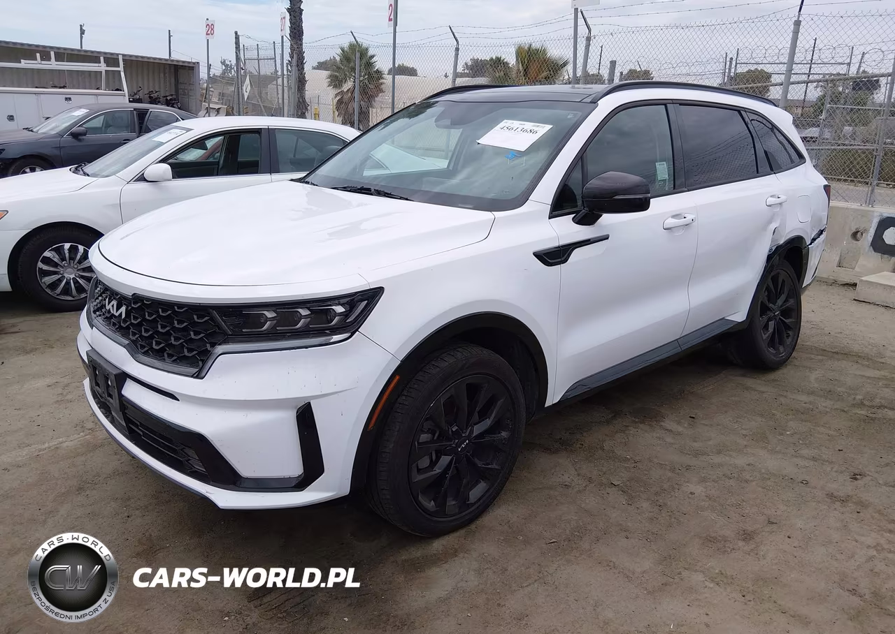 2022 Kia Sorento Sx VIN:5XYRKDLF9NG135231 - 2
