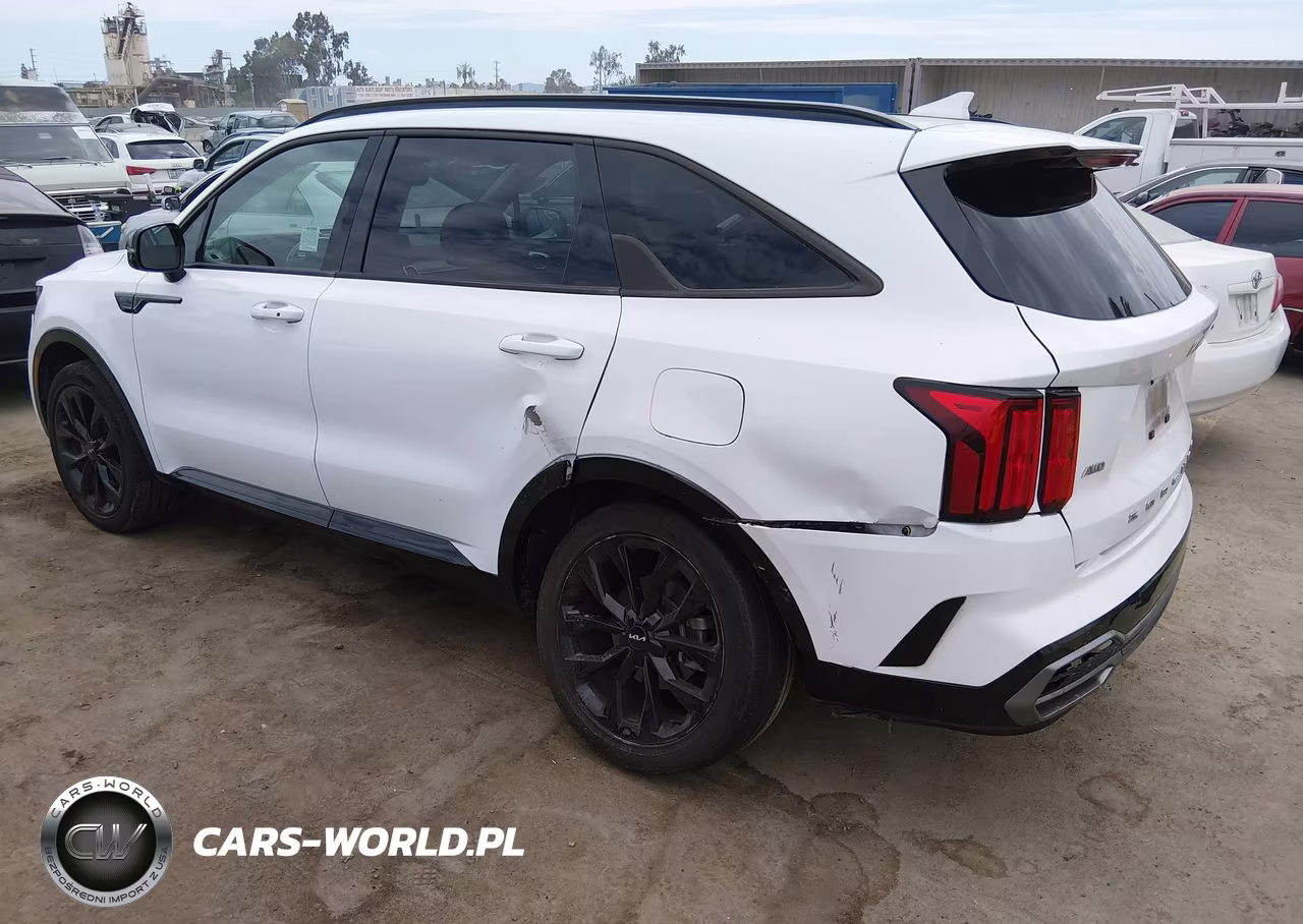 2022 Kia Sorento Sx VIN:5XYRKDLF9NG135231 - 3