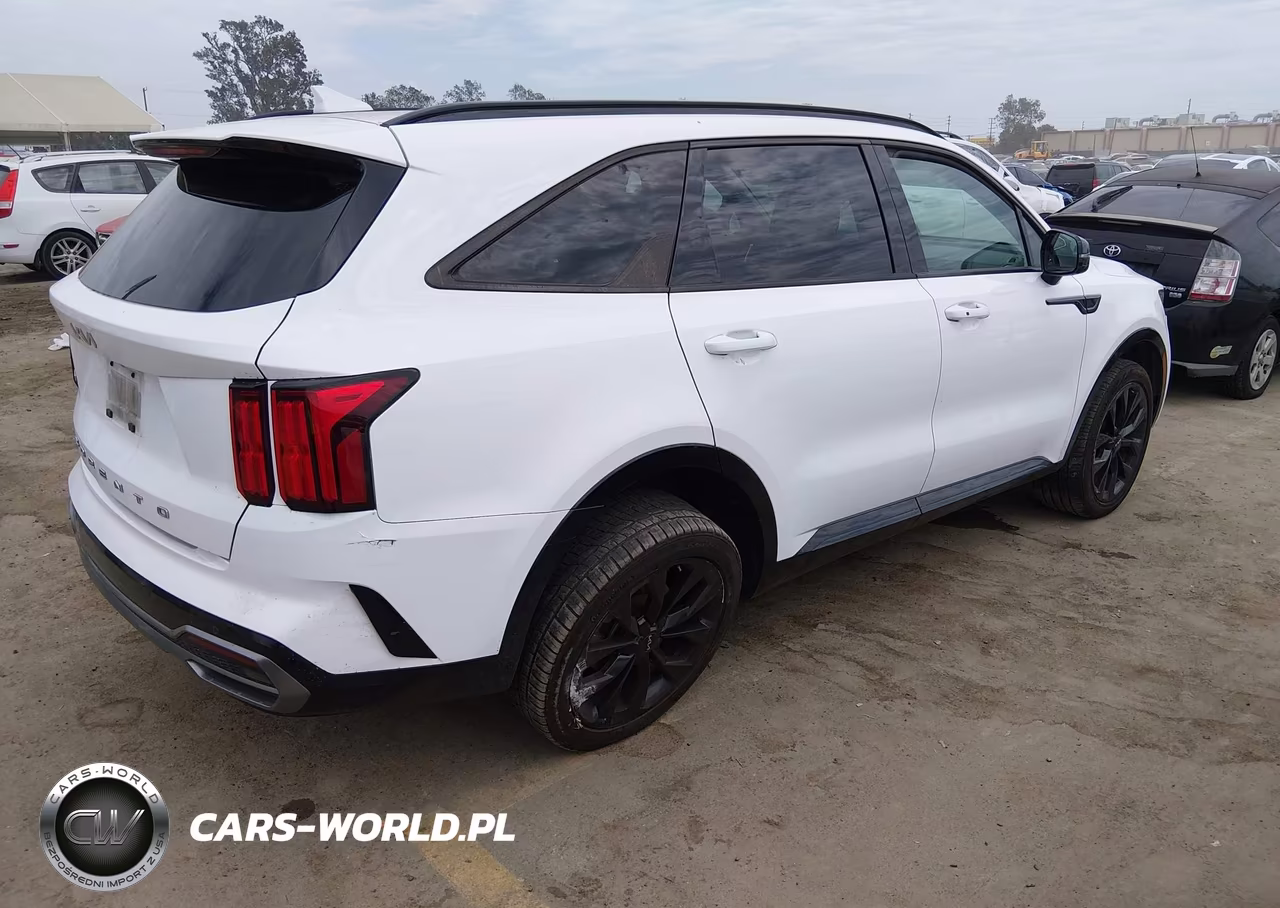 2022 Kia Sorento Sx VIN:5XYRKDLF9NG135231 - 4