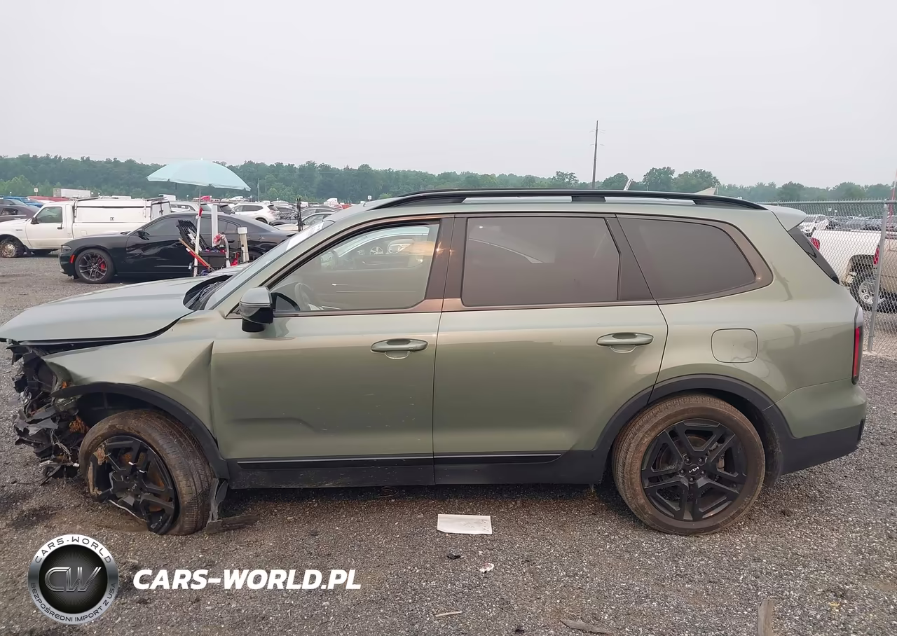 2024 Kia Telluride Sx Prestige X-Line VIN:5XYP5DGC1RG420851 - 15