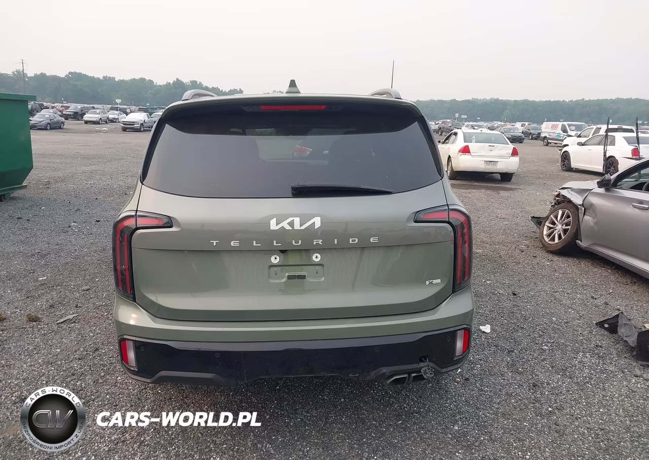2024 Kia Telluride Sx Prestige X-Line VIN:5XYP5DGC1RG420851 - 17