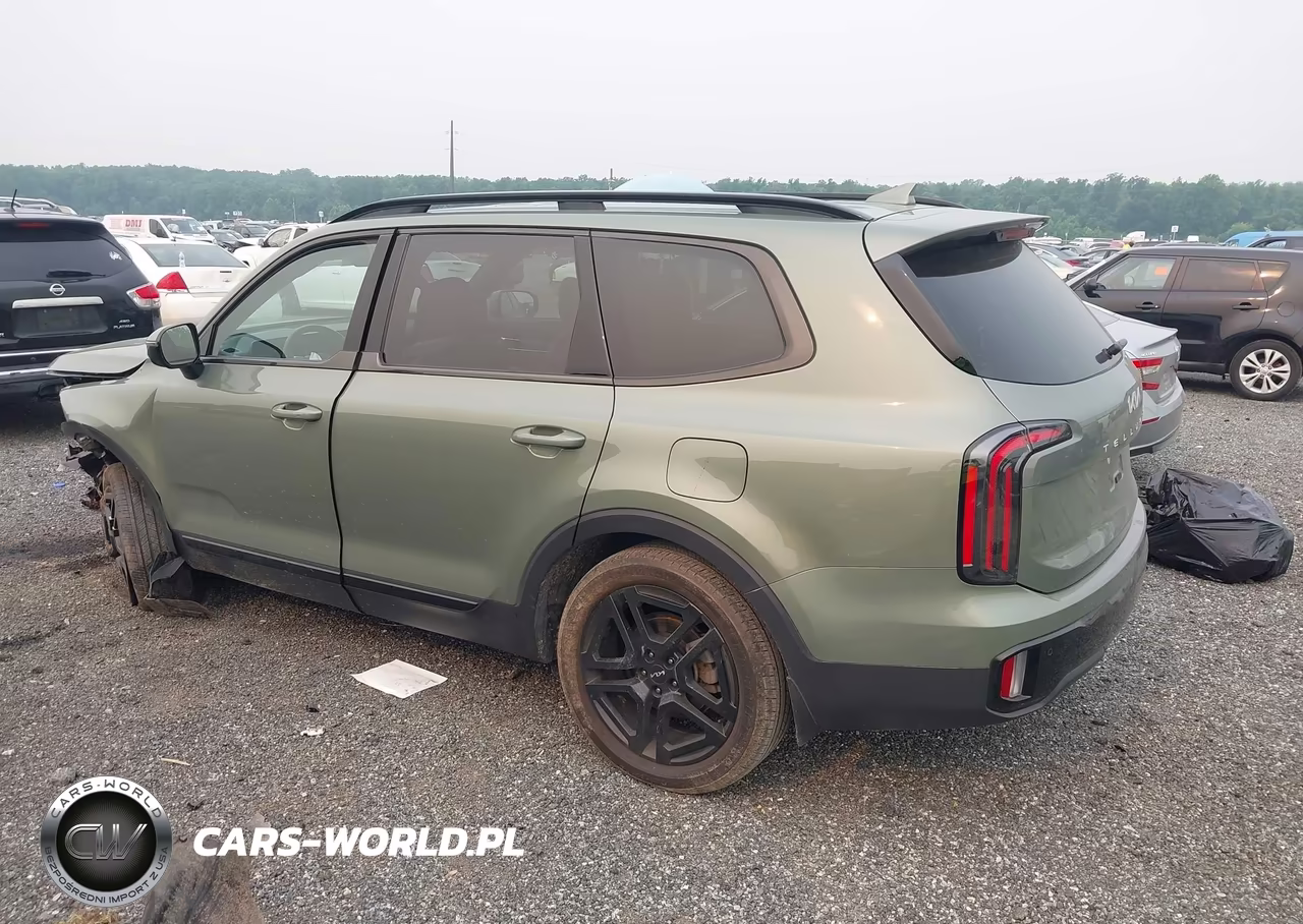 2024 Kia Telluride Sx Prestige X-Line VIN:5XYP5DGC1RG420851 - 3