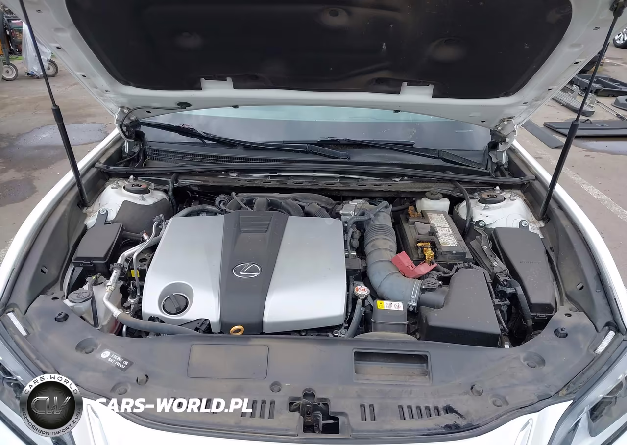 2025 Lexus Es 350 VIN:58ADZ1B14SU194549 - 10