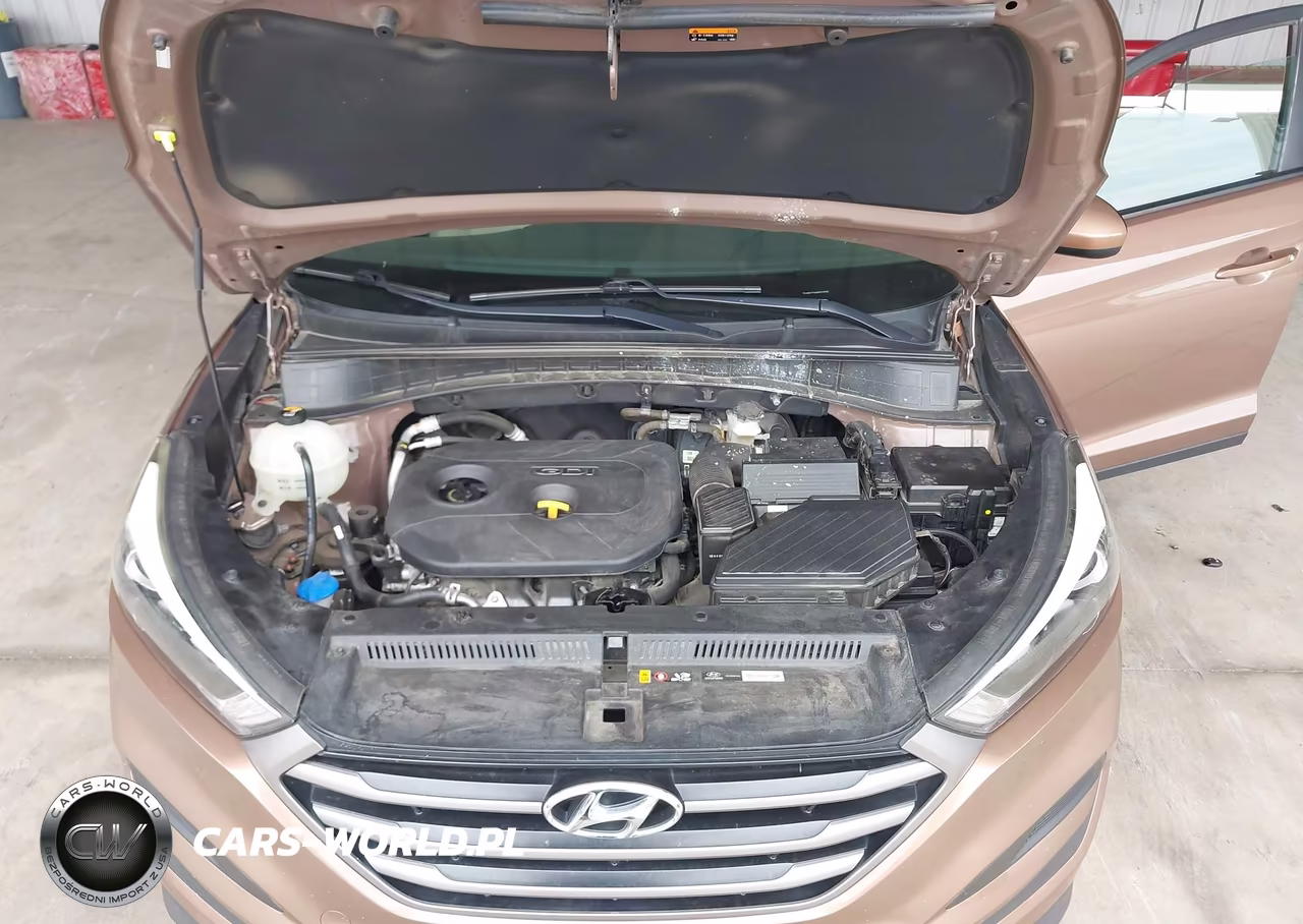2016 Hyundai Tucson Se VIN:KM8J23A44GU235808 - 10