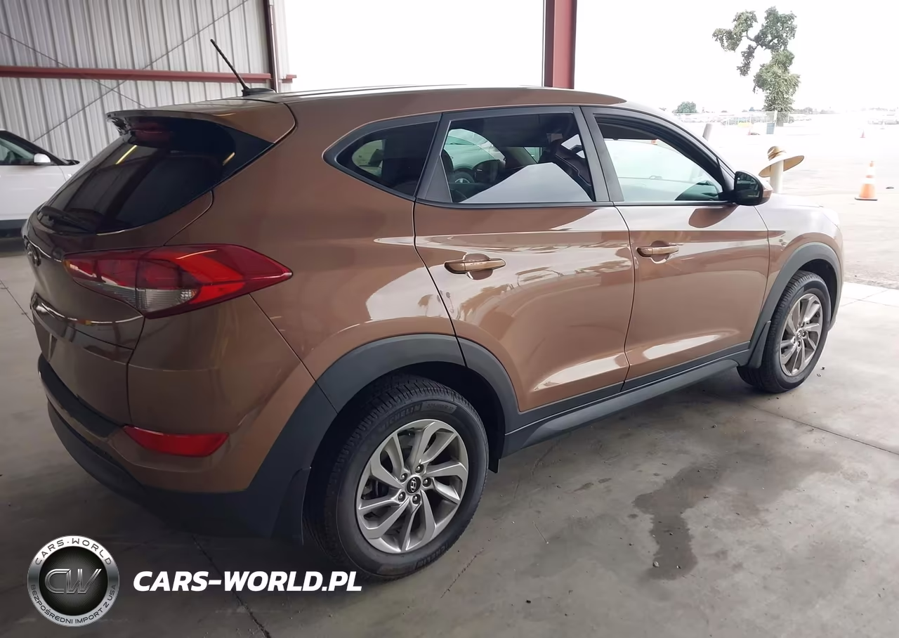 2016 Hyundai Tucson Se VIN:KM8J23A44GU235808 - 4