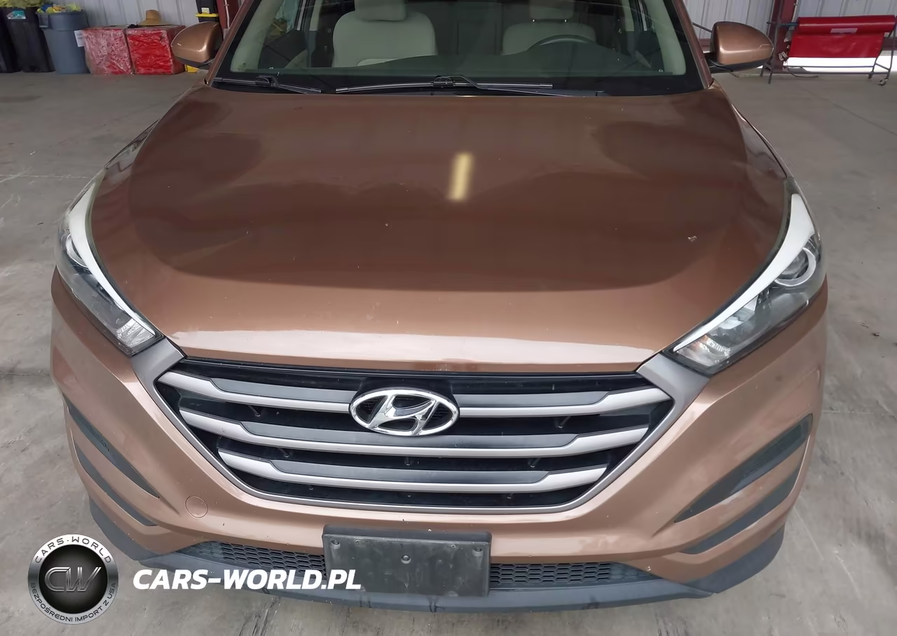2016 Hyundai Tucson Se VIN:KM8J23A44GU235808 - 6