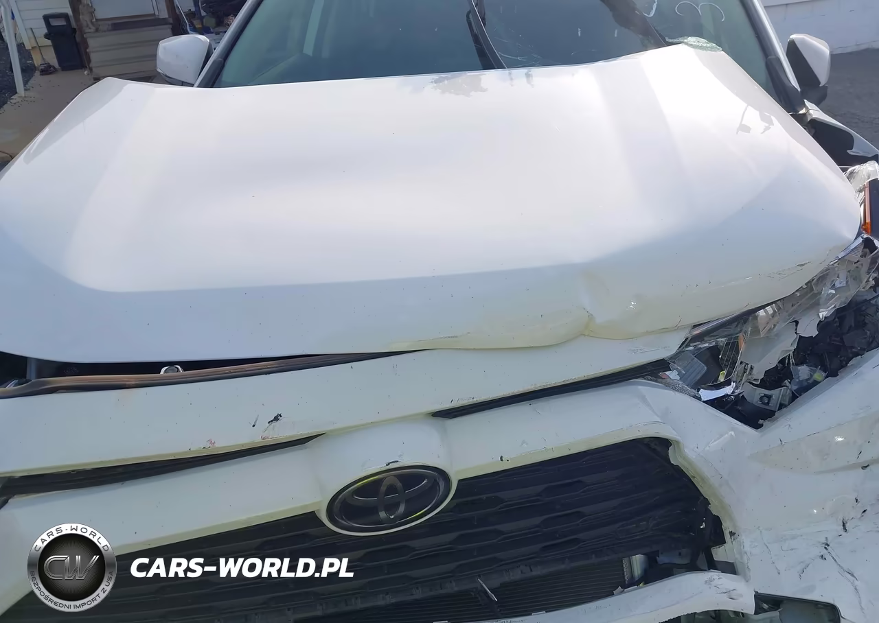 2020 Toyota Rav4 Xle VIN:JTMP1RFV7LD054010 - 10