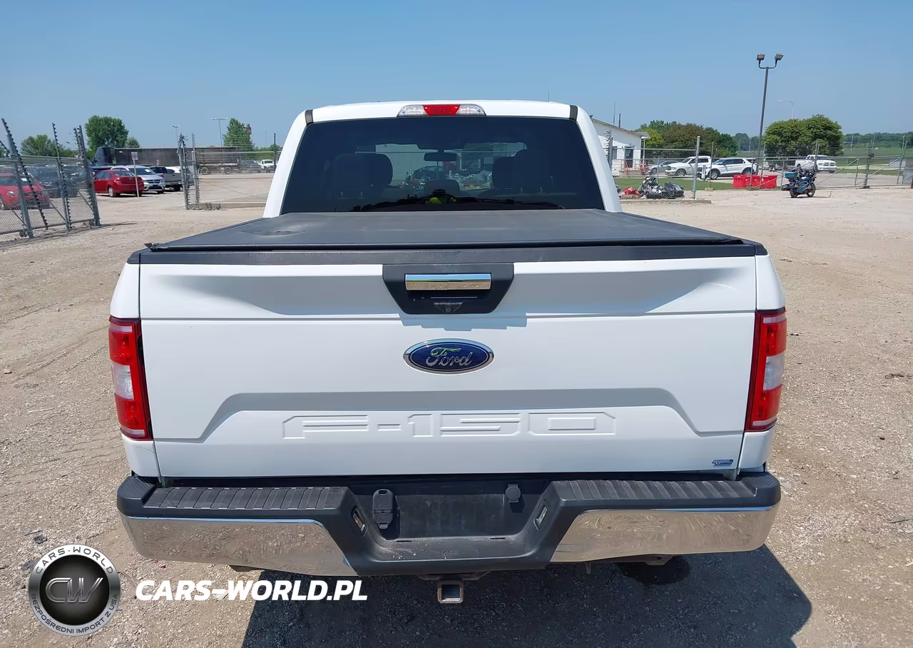2019 Ford F-150 Xlt VIN:1FTEW1EB6KFA99153 - 16