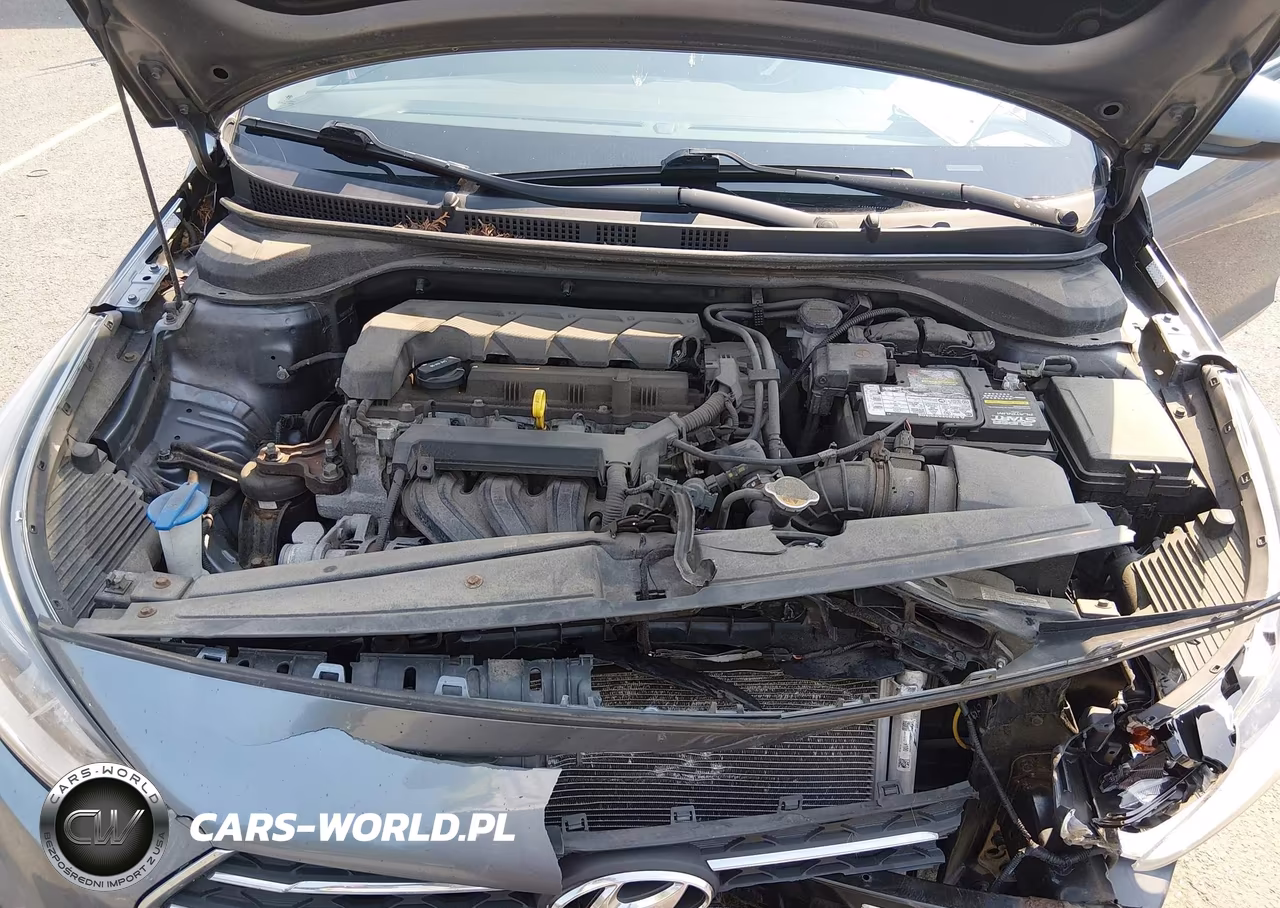 2020 Hyundai Accent Se VIN:3KPC24A64LE106285 - 10